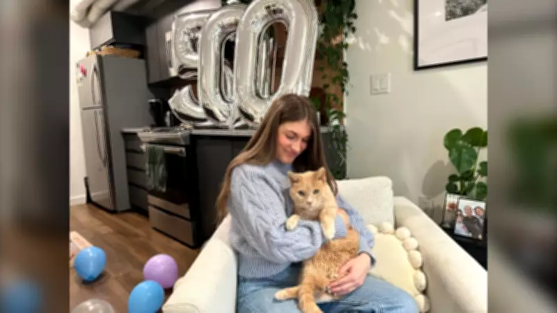 My Grandfather's Cat Nonprofit Celebrates Landmark 500th Pet Adoption Milestone