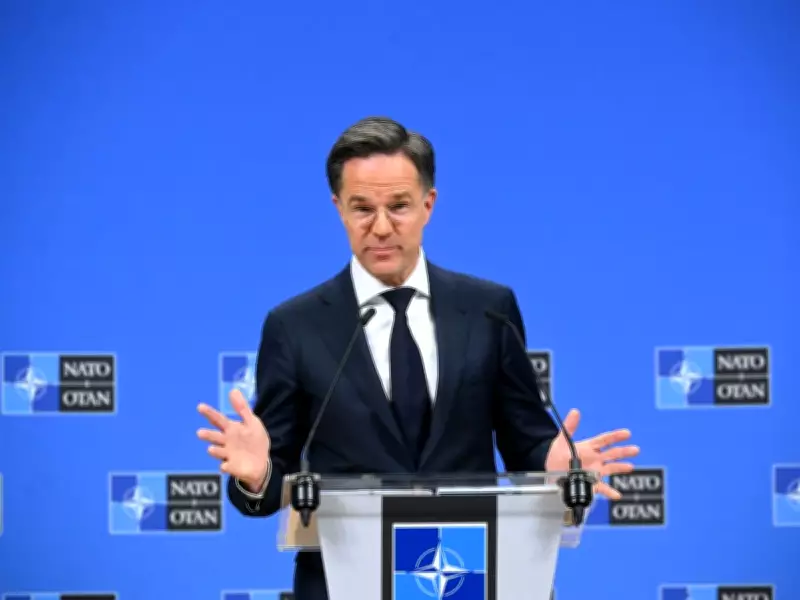 NATO Reports 20% Surge in European and Canadian Defense Spending for 2025