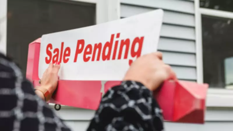 Navigating Calgary's Real Estate: How to Choose Among 8,743 Realtors