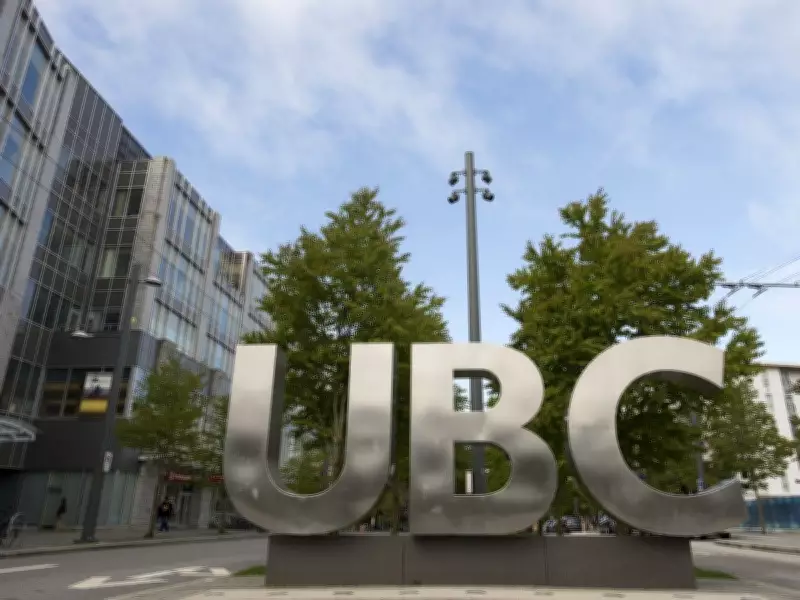 Navigating Post-Graduation Choices: A Parent's Guide to Gap Years and University Decisions