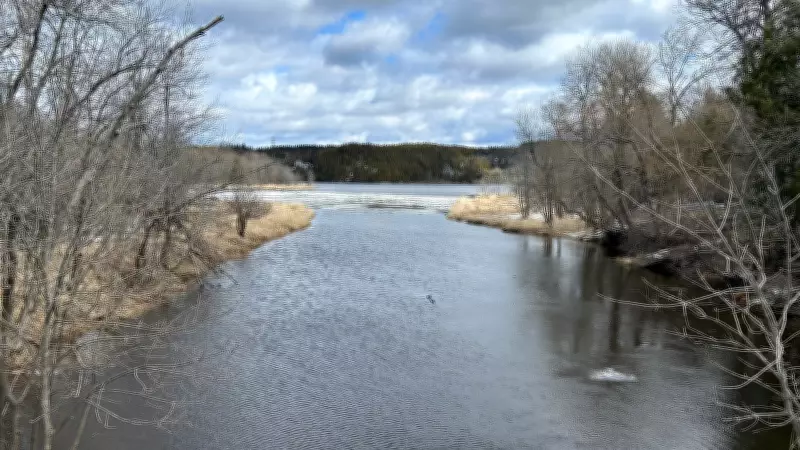 N.B. Angling Association Advocates Region-Specific Strategy for Invasive Fish Retention
