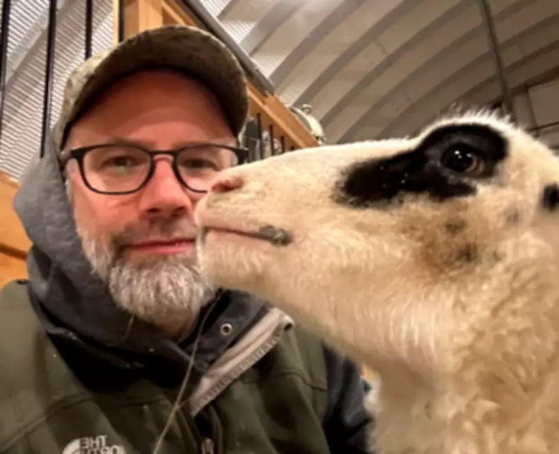 New Brunswick Farmers Protest Government's Privatization of Large Animal Vet Services