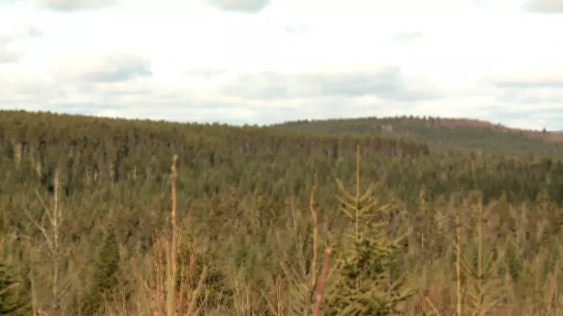 New Brunswick Premier Confirms Sisson Mine Feasibility Study Progressing as Planned