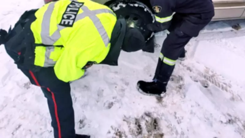 North Bay Police and OPP Blitz Uncovers Unsafe Commercial Vehicles on Roads