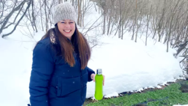 Northern Ontario Solar Project Faces Local Opposition Over Environmental Concerns