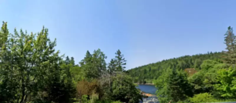 Nova Scotia Conservationists Push to Protect 11,000 Hectares of Ingram River Wilderness