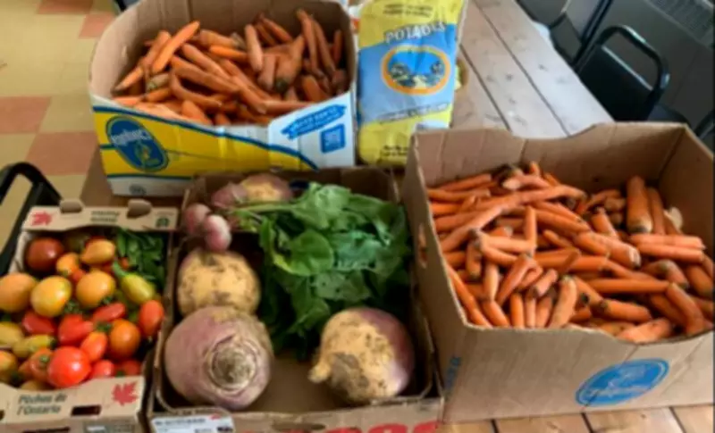 Nova Scotia Funds Food Programs with $5.3 Million from U.S. Alcohol Sales