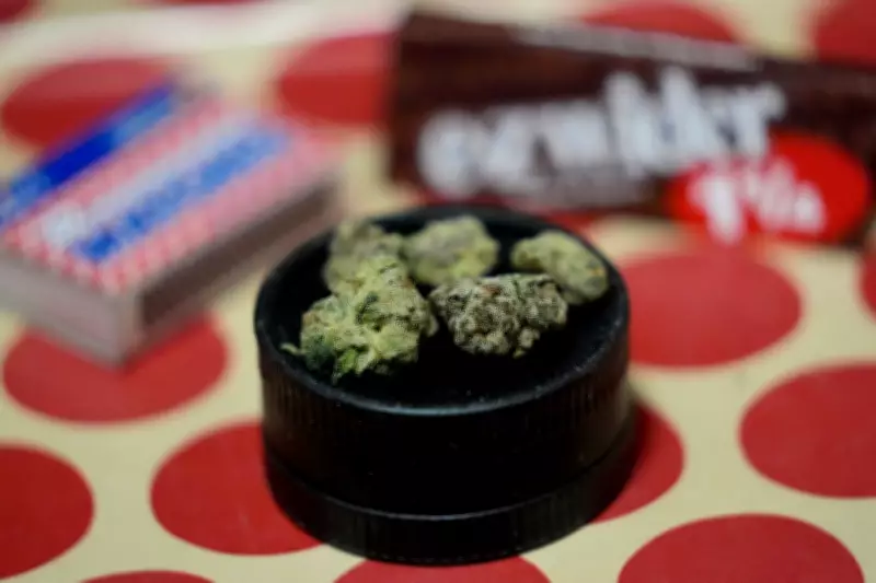 Nova Scotia RCMP Issues Tickets Following Raids on Five Illegal Cannabis Stores