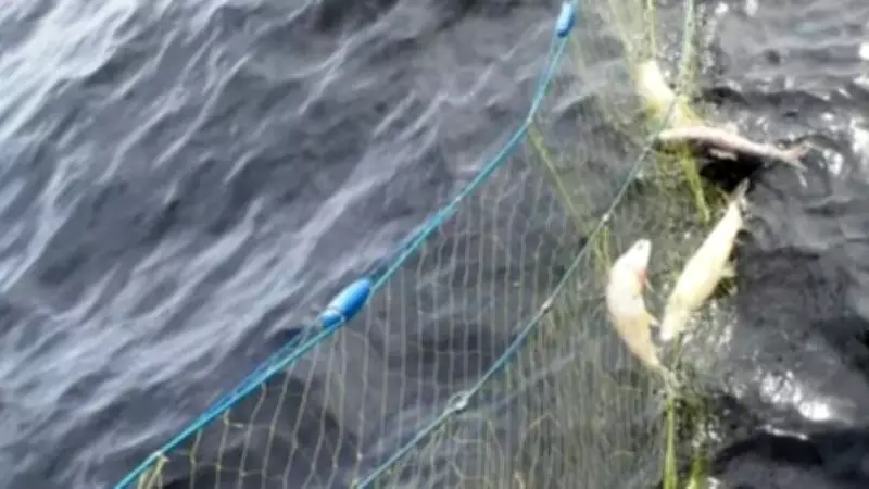 Ontario Men Fined Over $7,600, Banned from Fishing for Illegal Activities in Provincial Park