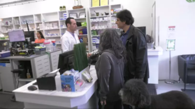 Ontario Pharmacists Could Help Pet Owners Manage Rising Medication Costs