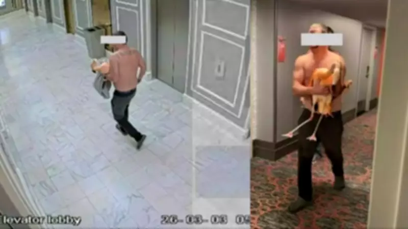 Ontario Tourist Charged After Allegedly Dragging Flamingo from Las Vegas Hotel