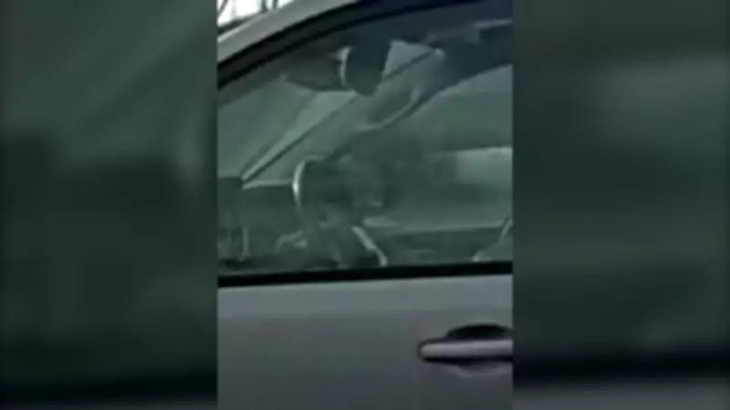 OPP Catches Driver Using Cellphone on Highway 417 in Ottawa During Rush Hour