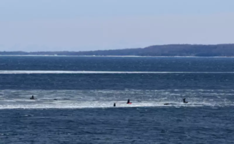 OPP Conducts Large-Scale Ice Rescue in Georgian Bay, Stranded for Hours