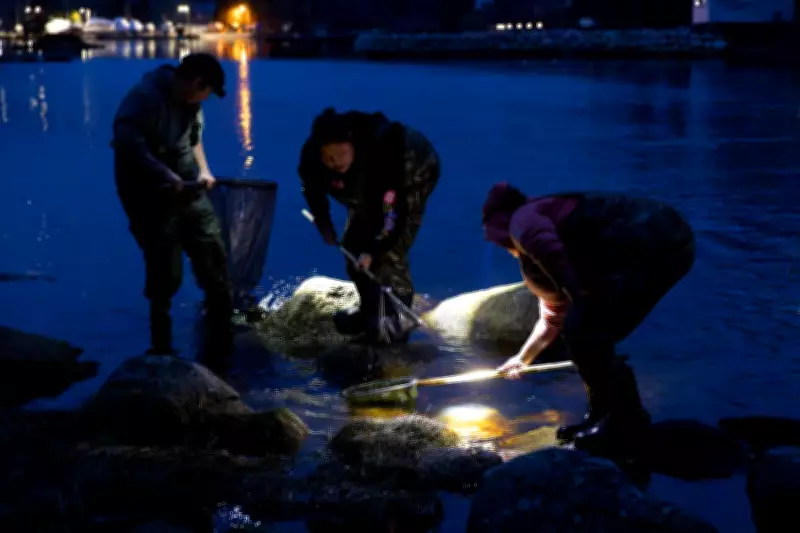 Ottawa Increases Juvenile Eel Catch Limit in Maritimes Amid Ongoing Disputes