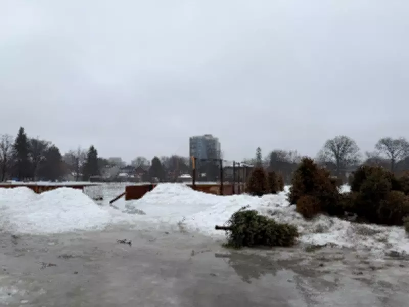 Ottawa Mayor's Viral 'Hellscape' Photo Sparks Social Media Debate