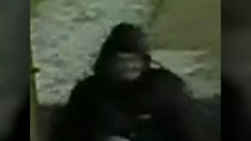 Ottawa Police Hunt Suspect in Alleged Sexual Assault Under Mackenzie King Bridge