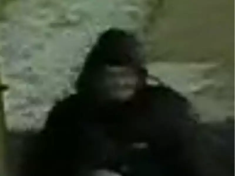 Ottawa Police Seek Public's Help to Identify Suspect in Colonel By Drive Sexual Assault