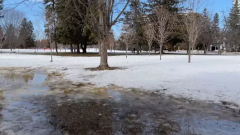 Ottawa's Brief Warm Spell Melts Snow Before Winter's Return