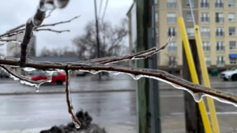 Ottawa's Temperature Plummets After Brief Warm Spell, Freezing Rain Halts Transit