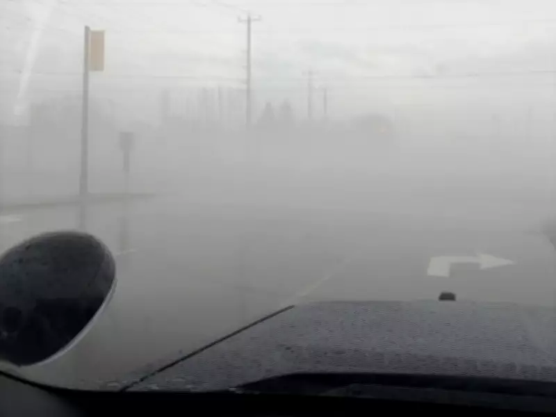 Over 20 Crashes Reported Amid Dense Fog in Simcoe County, Ontario