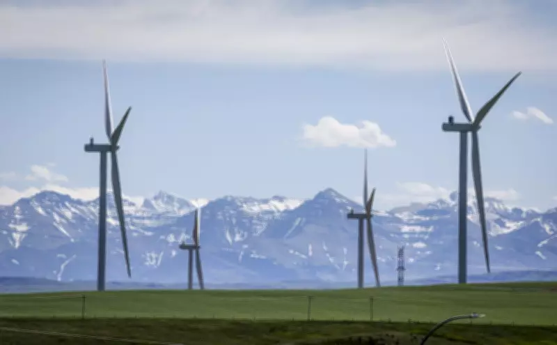 Pembina Institute Urges Renewables Focus in Alberta Energy MOU Talks