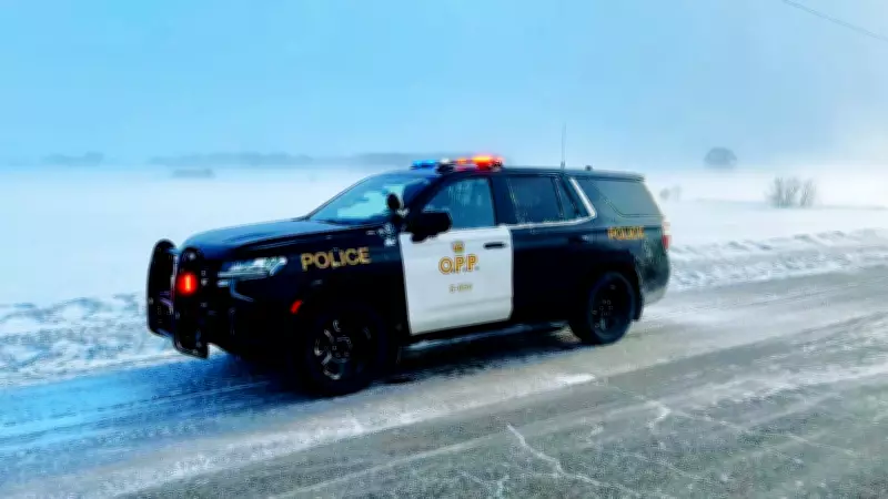 Police Discover Vehicle in Ditch on Highway 17 with Horn Blaring in Northern Ontario