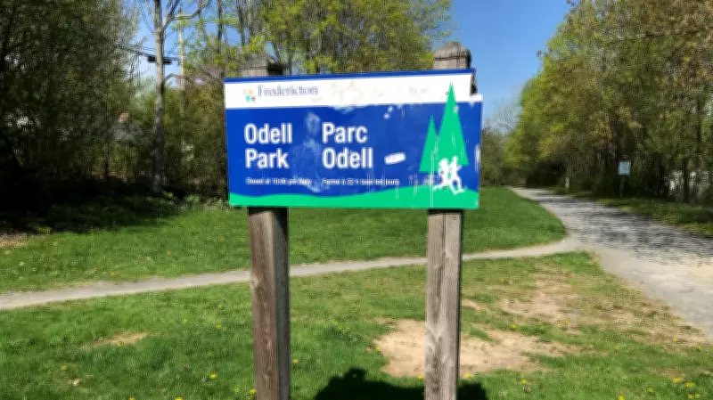 Police Search for Suspect After Alleged Assault on Girl in Fredericton Park