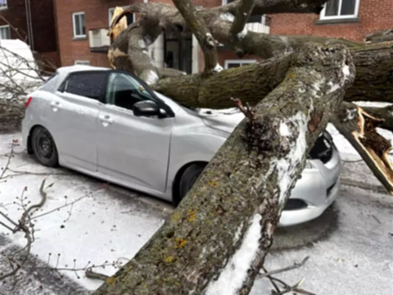 Power Outages Persist in Quebec Following Severe Winds, School Closures Reported