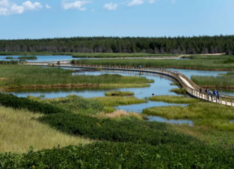 Prince Edward Island's 2026 Wildfire Season Officially Begins