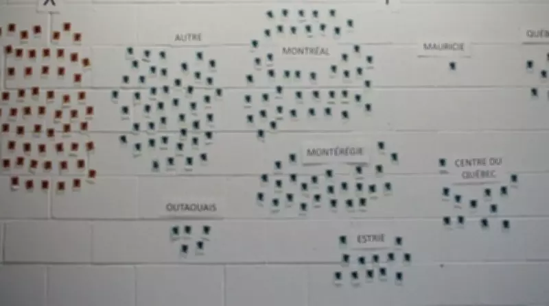 Quebec Court to Rule on Injunction Against Serial Sperm Donor Father and Son