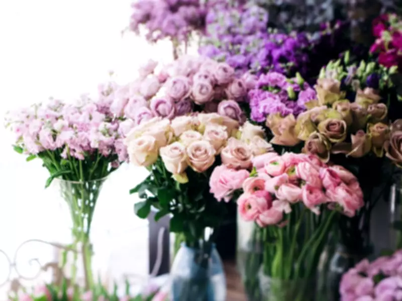 Quebec Tourist Arrested in Florida for Alleged Flower Shop Fraud Scheme