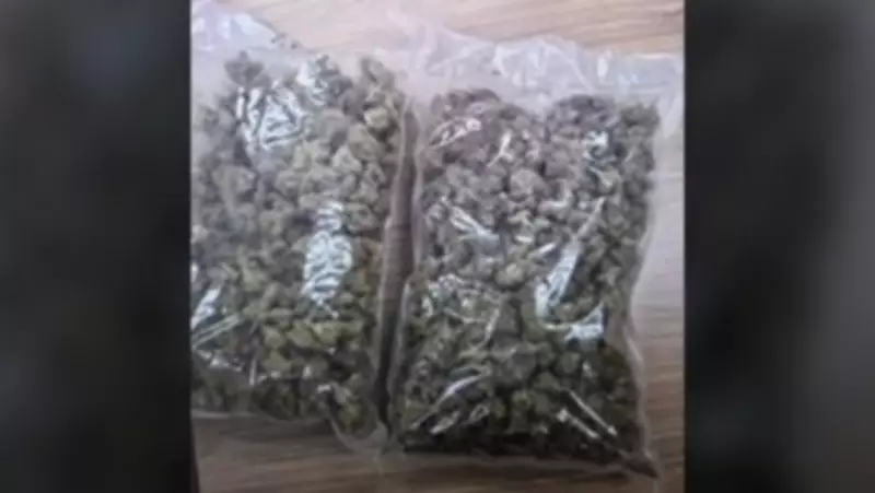 Quebec Woman Charged After OPP Seizes 1 Kilogram of Cannabis in Hawkesbury Vehicle
