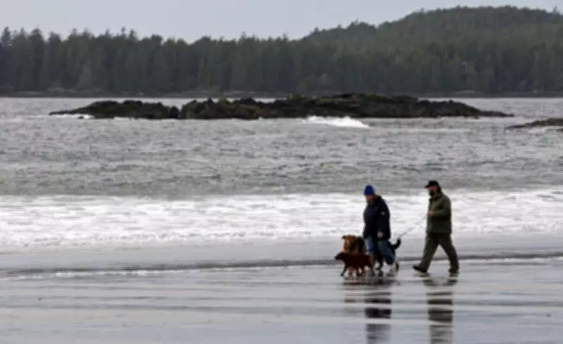 Record Cold Grips B.C. Communities as Arctic Air Mass Descends