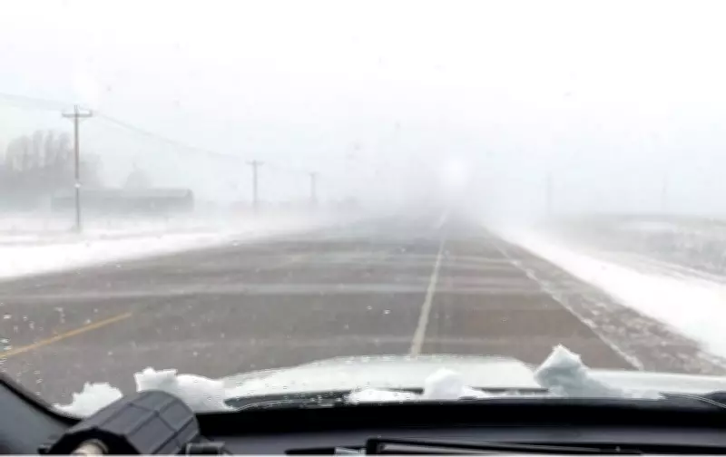 Regina Braces for Freezing Rain Following Overnight Snowfall