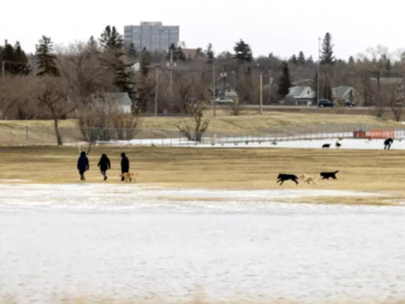 Regina City Council Adopts Stricter Dog Fines and Explores Tethering Regulations