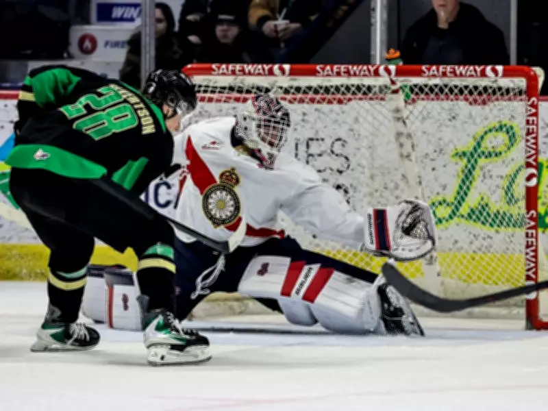 Regina Pats on Verge of WHL Playoffs After Weekend Battles