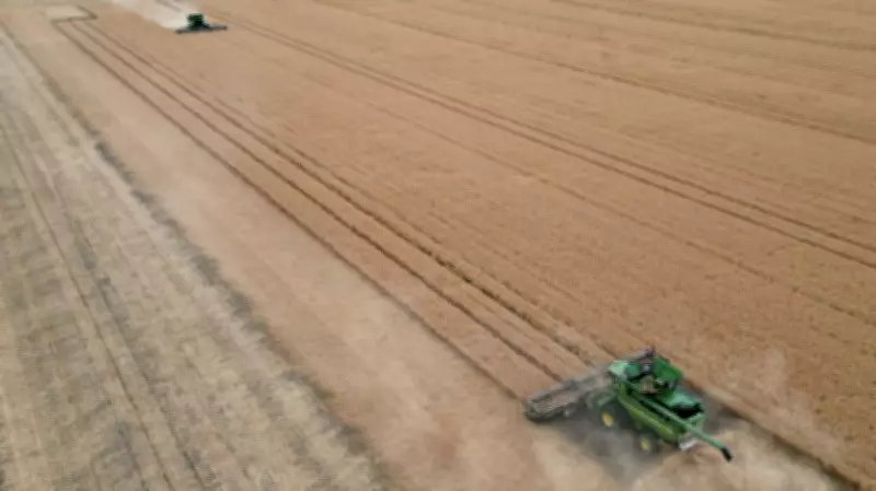 Saskatchewan Farmland Values Surge, Regina Area Sees Third Highest Jump in 2025