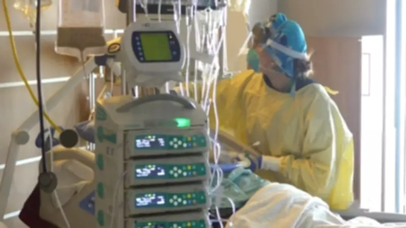 Saskatchewan Health Workers Prepare for Major 'Patient First' System Overhaul