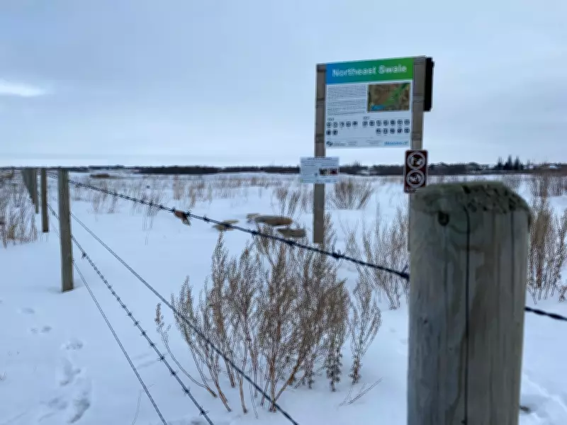 Saskatoon Council Approves National Urban Park Amid Swale Conservation Concerns