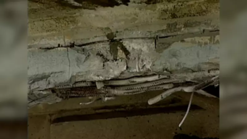 Saskatoon Explores All Avenues to Recover Costs for Four Damaged Overpasses