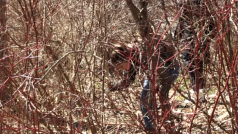 Search for Missing Kitchener Man Eli Wood Continues Over Five Months Later