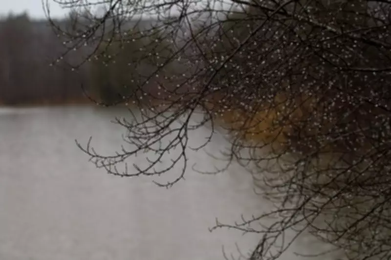 Severe Weather Alert: Thunderstorms and Gusty Winds Strike Windsor-Essex