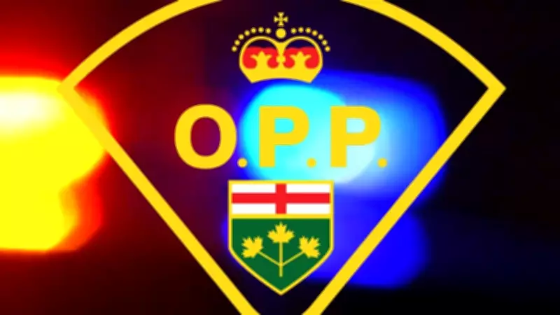 Shelter-in-Place Order Lifted Following Disturbance Near Sauble Falls in Ontario