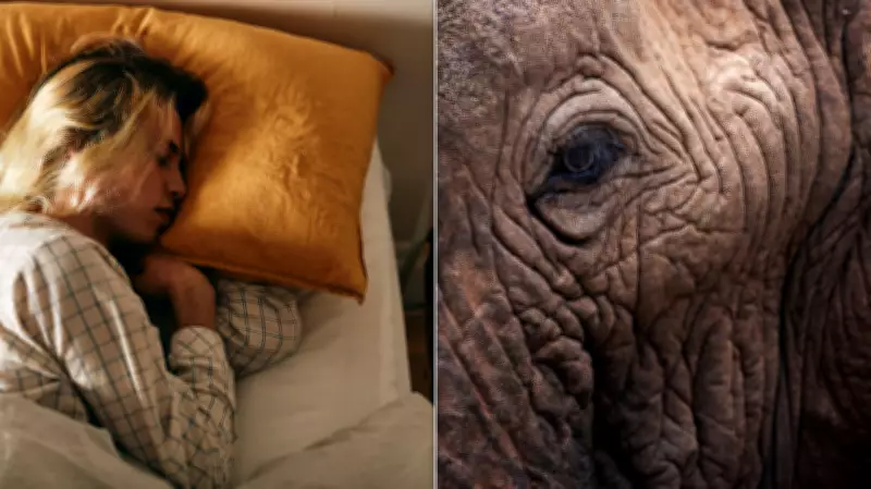 Side Sleeping and Skin Aging: Dermatologists Debunk Myths About Wrinkles