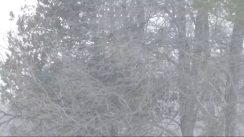 Simcoe Muskoka Under Widespread Advisory for Snow, Freezing Rain, and Heavy Wind