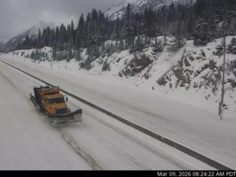 Snow in Metro Vancouver? Flurries Forecasted This Week After Mild Winter