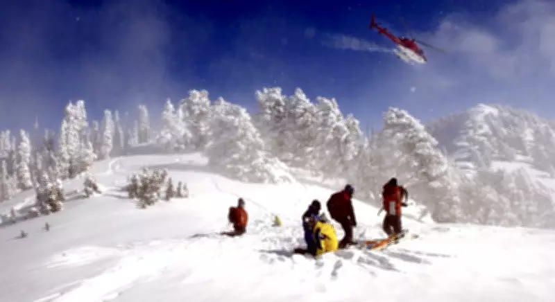 Snowboarder Dies in Tree Well Fall During B.C. Heli-Skiing Adventure