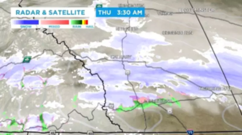 Snowfall Warnings Issued for Central and Southern Alberta with Up to 20 cm Possible