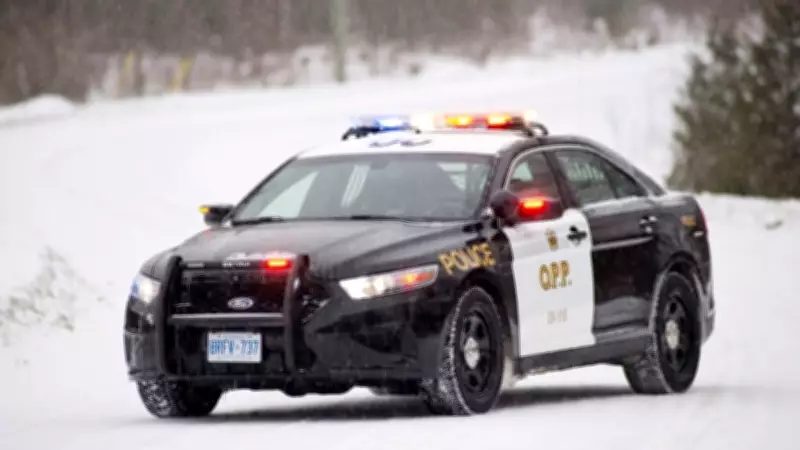 Snowplow Driver Killed in Highway Crash Near Thunder Bay, Police Investigate