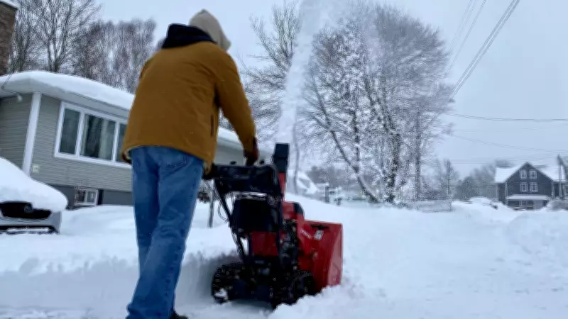 Snowstorm Forces Cape Breton School Closures and Ferry Cancellations